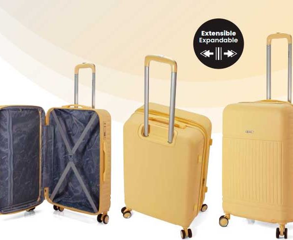 TROLLEY INDIVIDUAL, 4 RUEDAS 5876